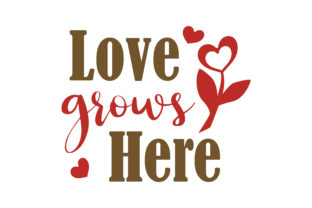 Love Grows Here