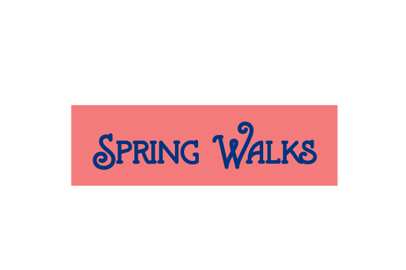 Scrapbooking Quote Spring Walks for Crafts and Planner
